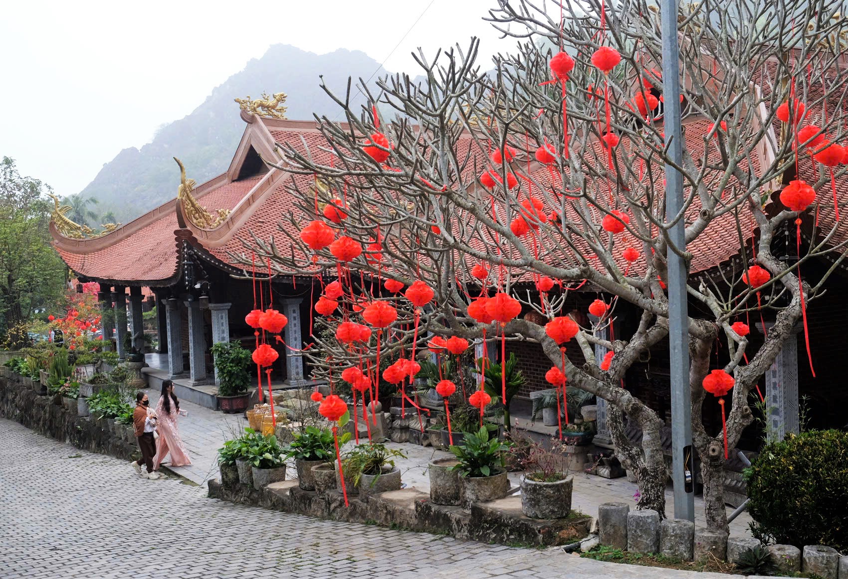 Sân chùa treo đầy đèn lồng đỏ